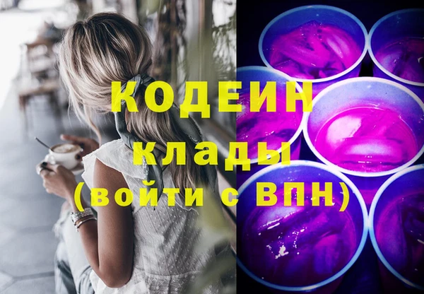 твердый Новодвинск