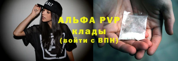 спиды Новокубанск