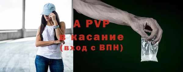 твердый Новодвинск