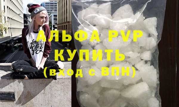 твердый Новодвинск
