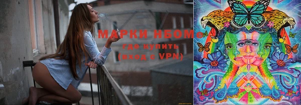 твердый Новодвинск