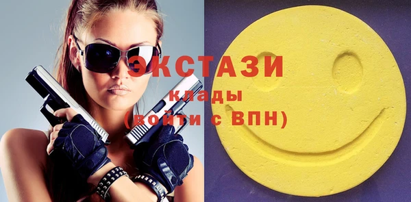 твердый Новодвинск
