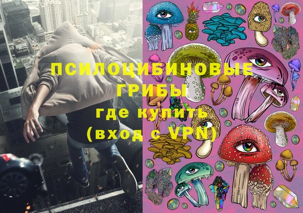 спиды Новокубанск
